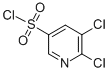 3-Pyridinesulfonylchloride,5,6-dichloro-(9CI) CAS#: 98121-40-5