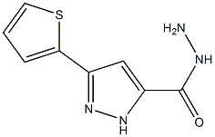 3-(Thiophen-2-yl)-1H-pyrazole-5-carbohydrazide CAS#: 889992-74-9