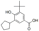 3-cyclopentyl-5-tert-butyl-4-hydroxybenzoic acid CAS#: 93777-77-6