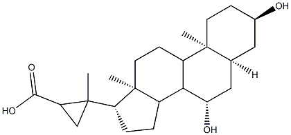 3,7-dihydroxy-20,22-methylenecholan-23-oic acid CAS#: 95498-96-7