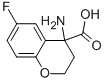 4-AMINO-6-FLUOROCHROMAN-4-CARBOXYLIC ACID CAS#: 90477-46-6
