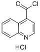 4-QUINOLINECARBONYL CHLORIDE,HYDROCHLORIDE(1:1) CAS#: 91799-73-4
