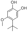 4-T-BUTYL-5-METHOXY-1,2-BENZENEDIOL CAS#: 91352-66-8