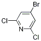 4-bromo-2,6-dichloropyridine CAS#: 98027-80-6