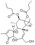 4ALPHA-PHORBOL 12,13-DIBUTYRATE CAS#: 93781-54-5