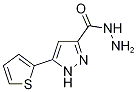 5-(2-Thienyl)-1H-pyrazole-3-carbohydrazide CAS#: 92352-25-5