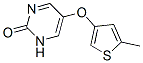 5-((5-methyl-3-thienyl)oxy)-2(1H)-pyrimidinone CAS#: 96518-97-7