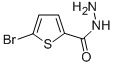 5-Bromothiophene-2-carbohydrazide CAS#: 98027-27-1