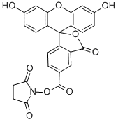 5-Carboxyfluorescein N-succinimidyl ester CAS#: 92557-80-7