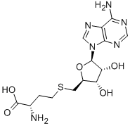 5'-DEOXY-S-ADENOSYL-L-HOMOCYSTEINE CAS#: 979-92-0