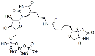 5-(N-biotinyl-3-aminoallyl)uridine 5'-triphosphate CAS#: 92999-28-5
