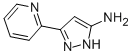 5-PYRIDIN-2-YL-2H-PYRAZOL-3-YLAMINE CAS#: 92352-29-9