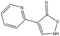 5(2H)-Isoxazolone,4-(2-pyridinyl)-(9CI) CAS#: 91632-32-5