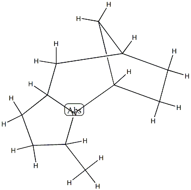 5,8-Methano-1H-pyrrolo[1,2-a]azepine,octahydro-3-methyl-(9CI) CAS#: 90307-29-2
