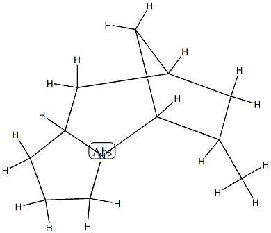 5,8-Methano-1H-pyrrolo[1,2-a]azepine,octahydro-6-methyl-(9CI) CAS#: 90307-36-1