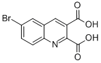 6-BROMOQUINOLINE-2,3-DICARBOXYLIC ACID CAS#: 92513-49-0