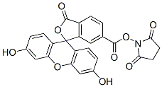 6-CARBOXYFLUORESCEIN N-SUCCINIMIDYL ESTER CAS#: 92557-81-8