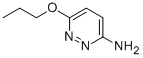 6-Propoxypyridazin-3-amine CAS#: 90008-50-7