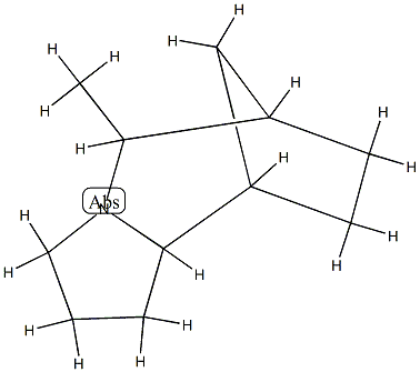 6,9-Methano-1H-pyrrolo[1,2-a]azepine,octahydro-5-methyl-(9CI) CAS#: 90307-40-7