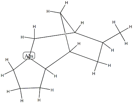6,9-Methano-1H-pyrrolo[1,2-a]azepine,octahydro-7-methyl-(9CI) CAS#: 90307-47-4