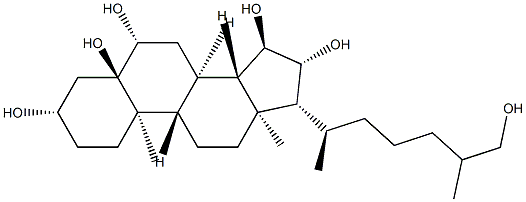 5α-Cholestane-3β,5,6β,15α,16β,26-hexaol CAS#: 93368-83-3