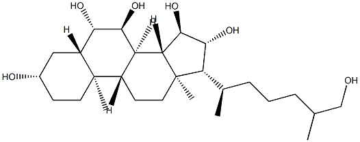 5α-Cholestane-3β,6β,7α,15α,16β,26-hexaol CAS#: 93368-84-4