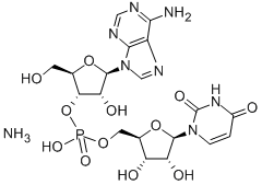 ADENYLYL(3'-5')URIDINE AMMONIUM SALT CAS#: 93839-87-3
