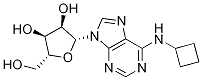 Adenosine, N-cyclobutyl- CAS#: 97374-49-7