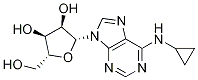 Adenosine, N-cyclopropyl- CAS#: 97374-48-6