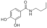 Benzamide, N-butyl-3,4-dihydroxy- (9CI) CAS#: 98116-92-8