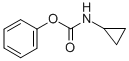 CYCLOPROPYL-CARBAMIC ACID PHENYL ESTER CAS#: 97480-55-2