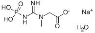Creatine phosphate disodium salt CAS#: 922-32-7