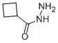 Cyclobutanecarboxylic acid, hydrazide (6CI, 9CI) CAS#: 98069-56-8