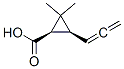 Cyclopropanecarboxylic acid, 2,2-dimethyl-3-(1,2-propadienyl)-, (1R-cis)- (9CI) CAS#: 91726-53-3