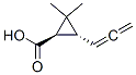 Cyclopropanecarboxylic acid, 2,2-dimethyl-3-(1,2-propadienyl)-, (1R-trans)- (9CI) CAS#: 91796-95-1