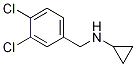 Cyclopropyl-(3,4-dichloro-benzyl)-aMine CAS#: 90919-75-8