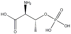 D-O-Phospho Threonine CAS#: 96193-69-0