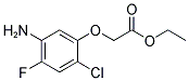 ETHYL 2-(5-AMINO-2-CHLORO-4-FLUOROPHENOXY)ACETATE CAS#: 91920-52-4