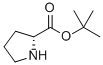 H-D-PRO-OTBU CAS#: 90071-62-8
