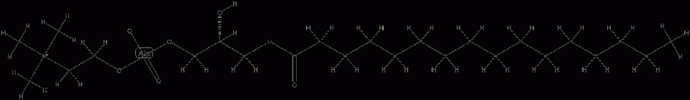 L-ALPHA-LYSOPHOSPHATIDYLCHOLINE, SOYBEAN CAS#: 97281-38-4