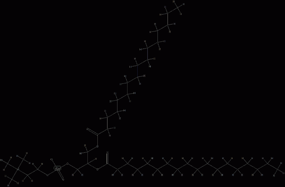 Lecithin Hydrogenated CAS#: 92128-87-5