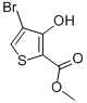 METHYL 4-BROMO-3-HYDROXYTHIOPHENE-2-CARBOXYLATE CAS#: 95201-93-7