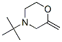 Morpholine, 4-tert-butyl-2-methylene- (7CI) CAS#: 90949-51-2