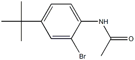 N-(2-bromo-4-tert-butylphenyl)acetamide CAS#: 91801-97-7