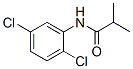 N-(2,5-dichlorophenyl)-2-methyl-propanamide CAS#: 90919-83-8