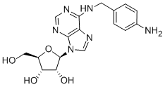N6-(P-AMINOBENZYL)ADENOSINE CAS#: 95523-13-0