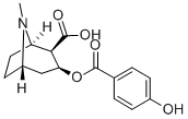 P-HYDROXYBENZOYLECGONINE CAS#: 90899-22-2