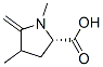 Proline, 1,4-dimethyl-5-methylene- (7CI) CAS#: 90087-75-5