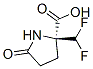 Proline, 2-(difluoromethyl)-5-oxo- (9CI) CAS#: 95755-28-5