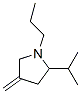Pyrrolidine, 4-methylene-2-(1-methylethyl)-1-propyl- (9CI) CAS#: 94956-96-4